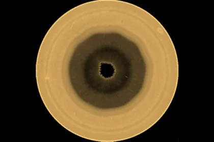 saturn decagon