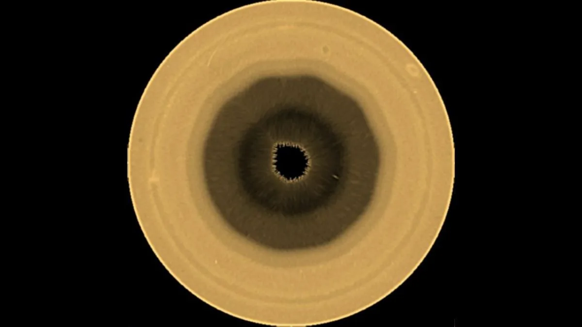 saturn decagon